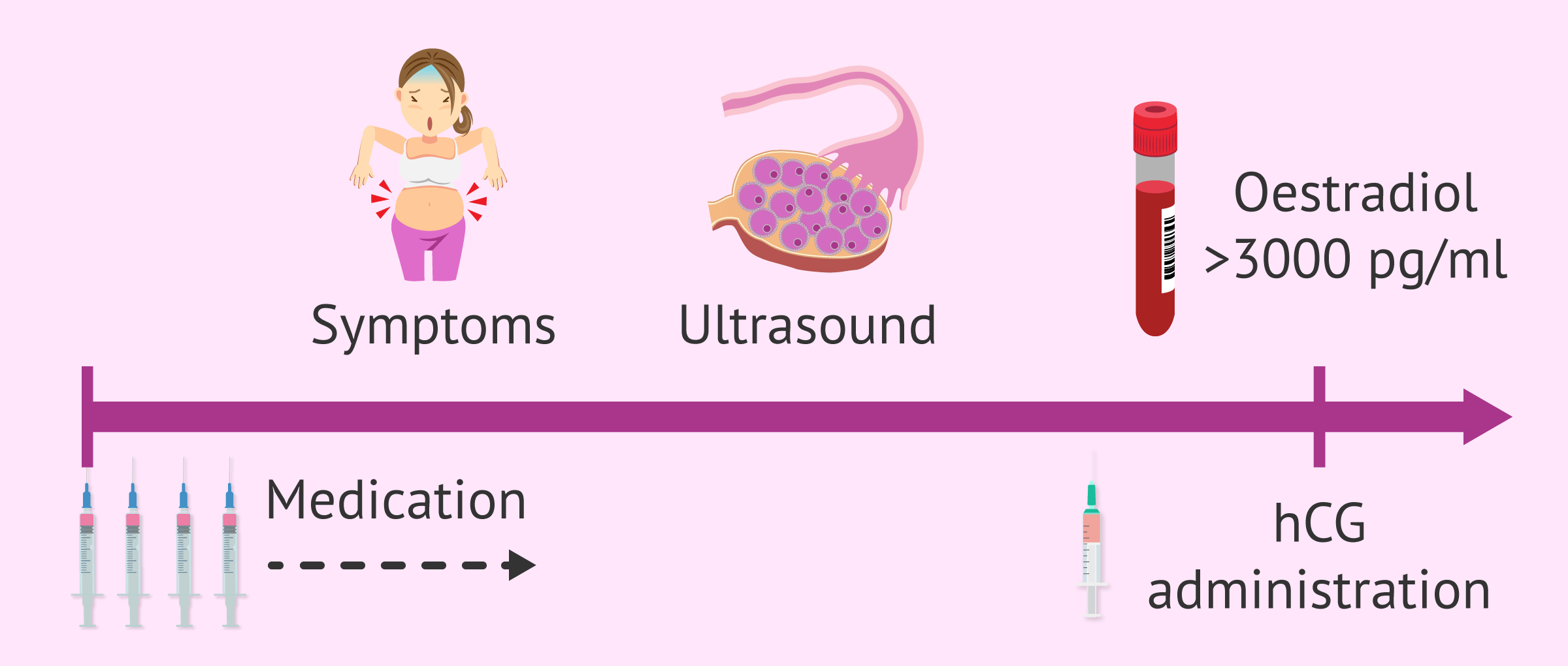 Donate Eggs for Money A Comprehensive Guide